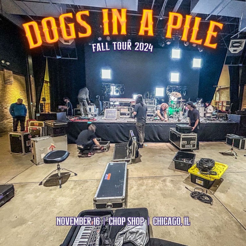 Dogs In A Pile