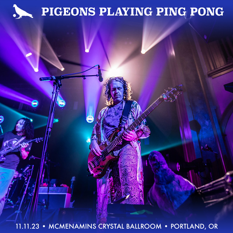 Pigeons Playing Ping Pong