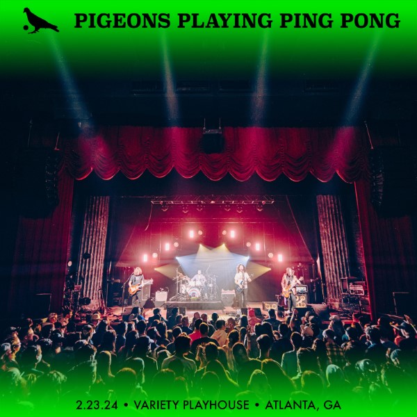 Pigeons Playing Ping Pong