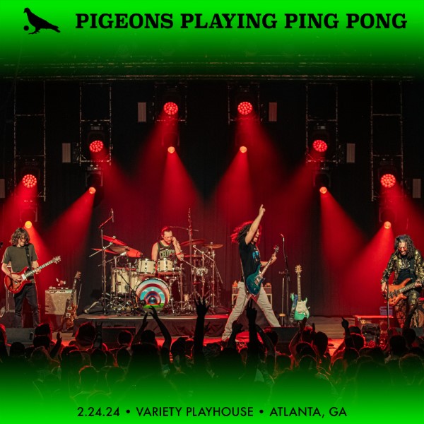 Pigeons Playing Ping Pong
