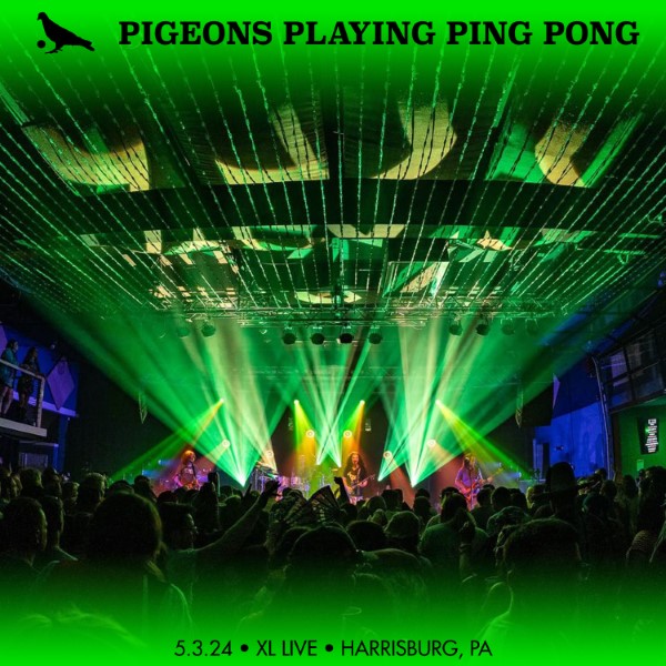 Pigeons Playing Ping Pong