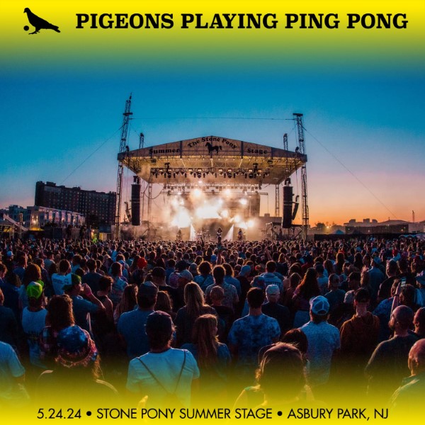 Pigeons Playing Ping Pong