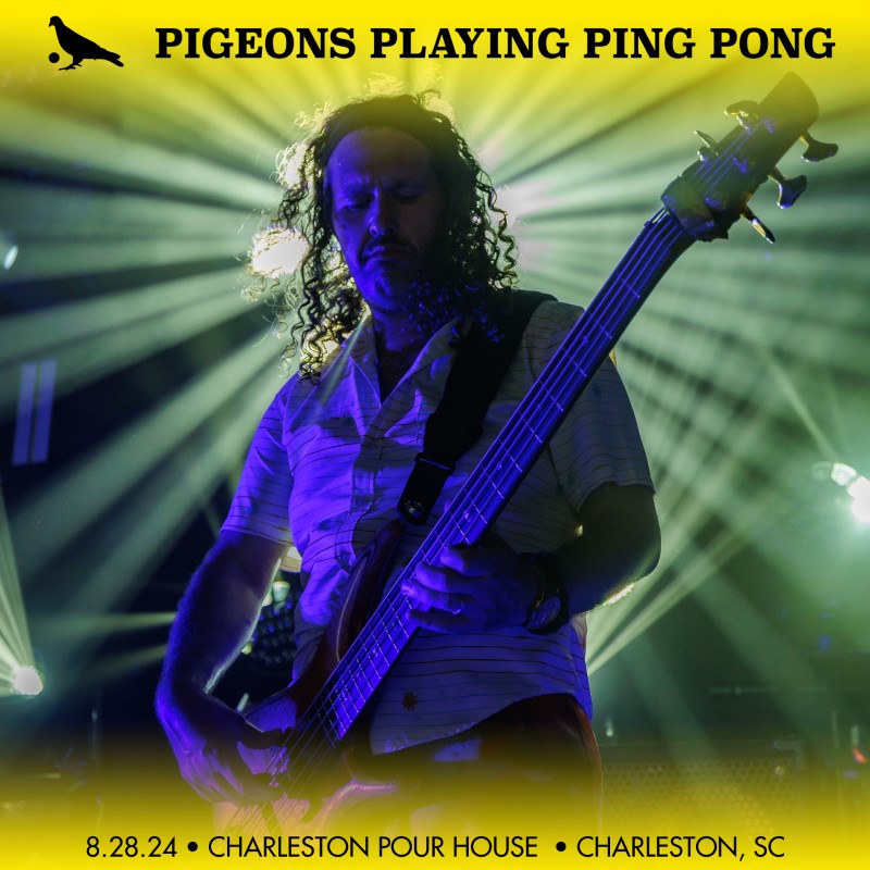 Pigeons Playing Ping Pong