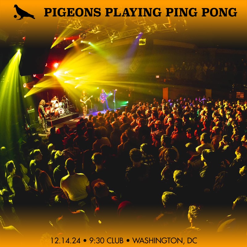 Pigeons Playing Ping Pong