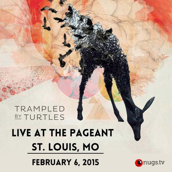 Trampled By Turtles
